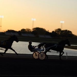 Meet your Posher, Denise